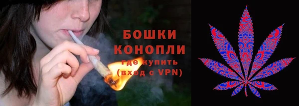 прущий лед Заводоуковск