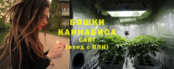 прущий лед Заводоуковск