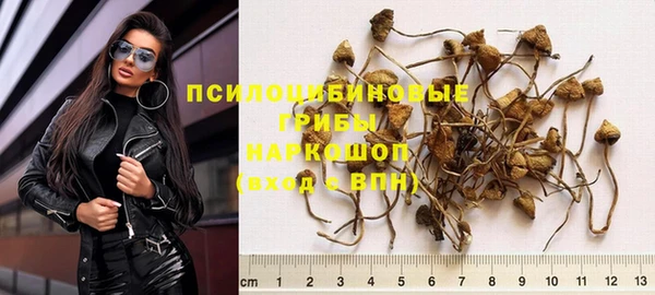 прущий лед Заводоуковск